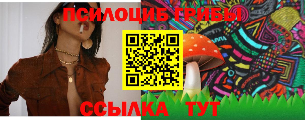 Кудрово  наркошоп  Вход с VPN  Галлюциногенные грибы MAGIC MUSHROOMS 