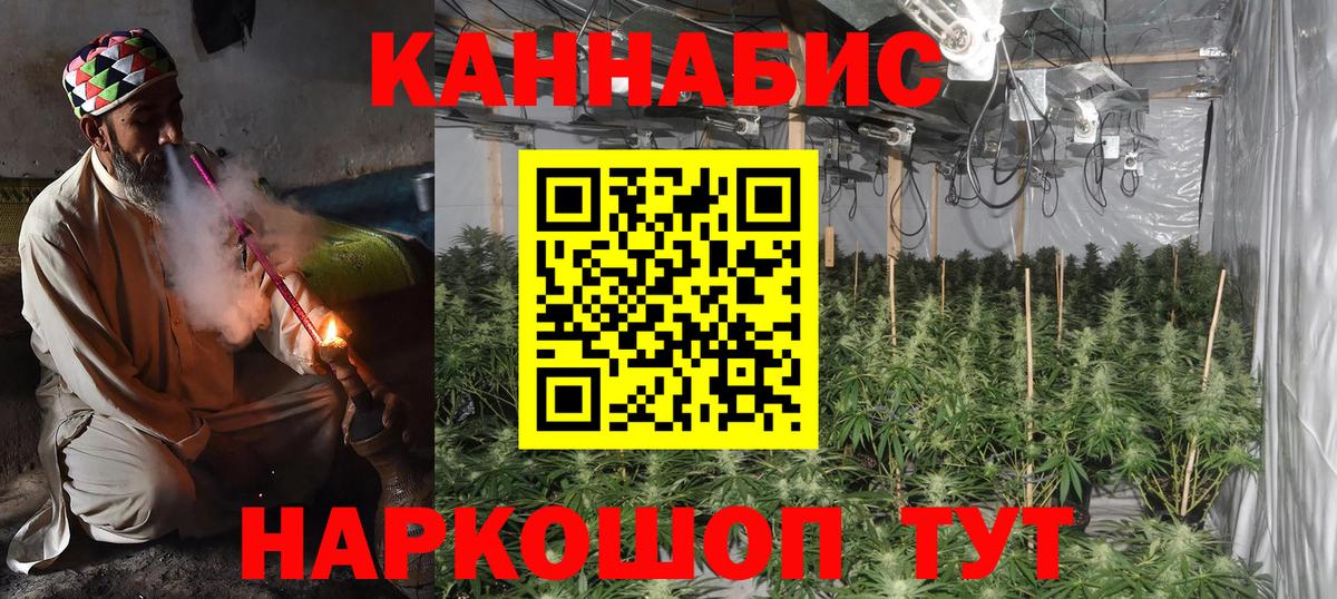 Конопля White Widow Кудрово